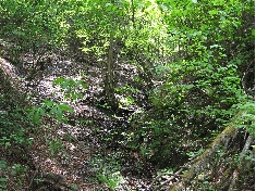 IMG_1518.JPG