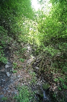 IMG_1795.JPG