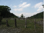 IMG_1537.JPG