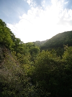 IMG_1817.JPG