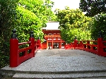 IMG_1242.JPG