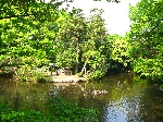 IMG_1243.JPG