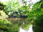 IMG_1296.JPG
