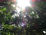 IMG_1329.JPG