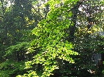 IMG_1320.JPG
