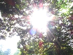 IMG_1330.JPG