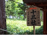 AS_S1095.JPG