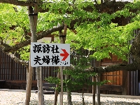 AS_S1114.JPG