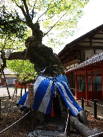 AS_S1122.JPG