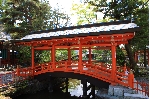 AS_S1071.JPG