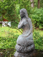 AS_S0327.JPG
