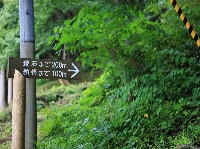 AS_S0333.JPG