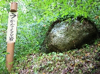 AS_S0341.JPG