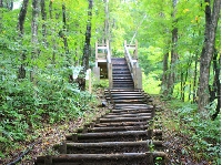 AS_S0348.JPG