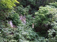 AS_S0355.JPG