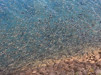 AS_S0377.JPG