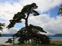 AS_S0400.JPG