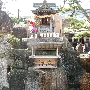 IMG_5259.JPG