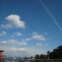 IMG_8833.JPG