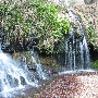 IMG_3832.JPG