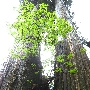 IMG_5663.JPG