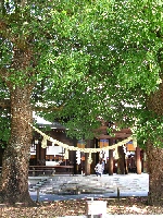 IMG_7998.JPG