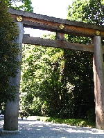 IMG_7985.JPG