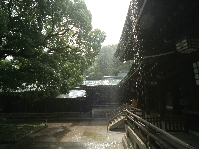 IMG_9581.JPG