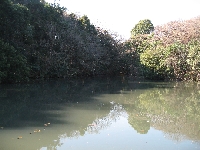 IMG_8211.JPG