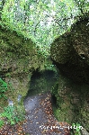 AS_S3953b.jpg