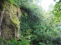 AS_S3950a.jpg